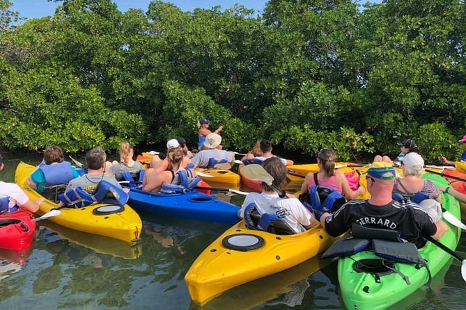 Key West Mangrove Kayak Eco Tour - Equipment Provided