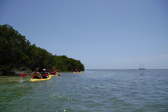 Key West Schooner Backcountry Eco-Tour: Sail, Snorkel & Kayak - Additional Information