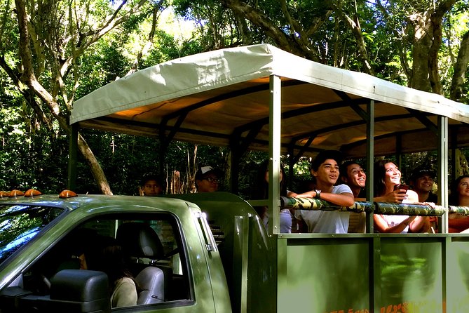 Kualoa Ranch Off-Road Jungle, Garden, Film Location Tour  - Oahu - Common questions