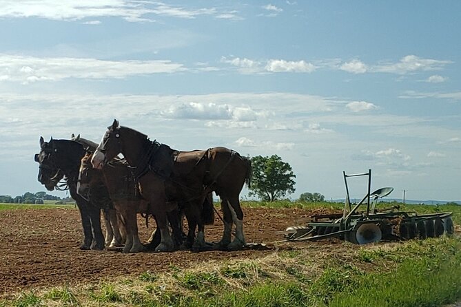 Lancaster County Amish Culture Small-Group Half-Day Tour - Amish Culture Insights