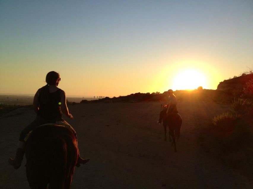 Los Angeles: 2-Hour Hollywood Trail Horseback Riding Tour - Safety Precautions