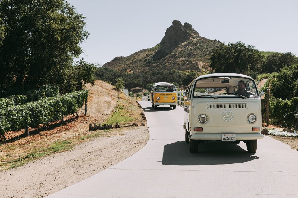 Los Angeles: Private Vintage VW Bus Tour in Malibu - Tour Description and Experience