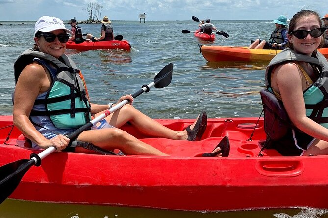 Manatee and Dolphin Kayaking Encounter - Traveler Experiences