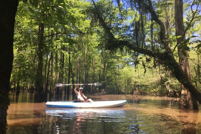 Manchac Swamp Kayak Small-Group Tour - Common questions