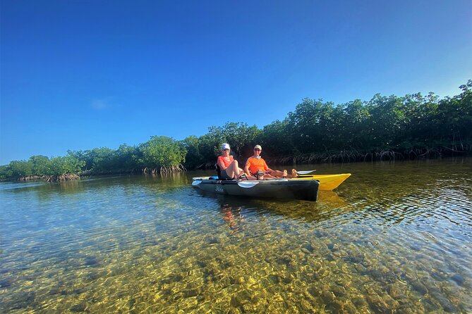 Mangrove Tunnel Kayak Adventure in Key Largo - Viator Information