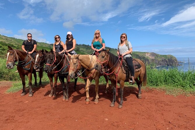 Maui Horseback-Riding Tour - Viators Role