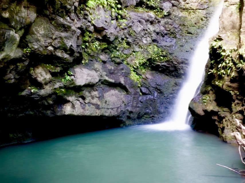 Maui: Private Jungle and Waterfalls Hiking Adventure - Customer Reviews