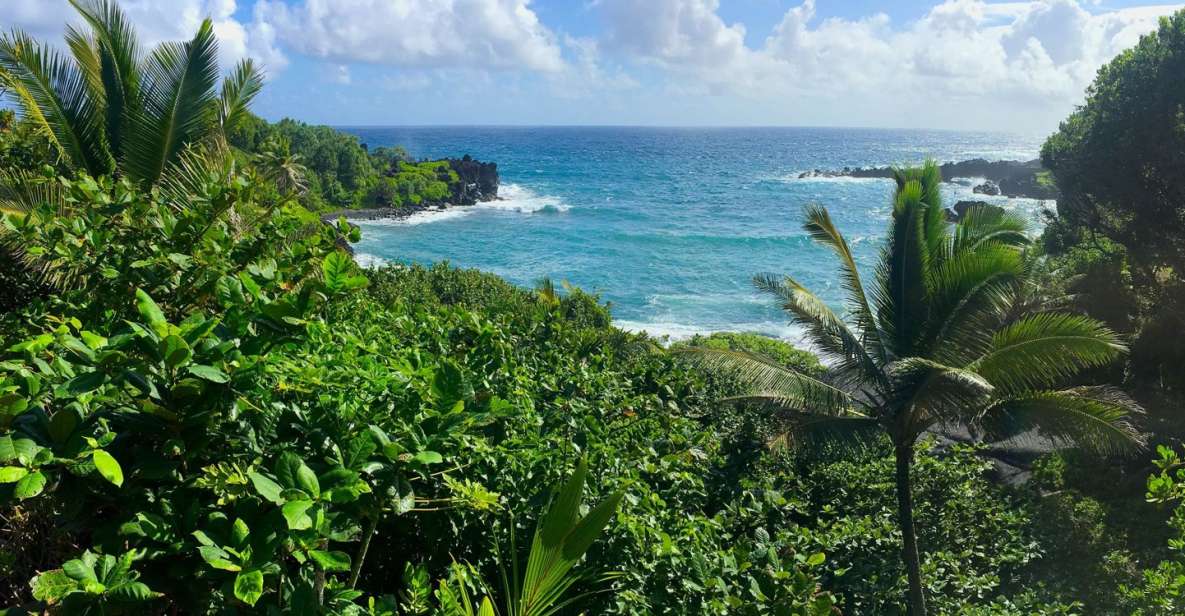 Maui Road to Hana Sightseeing Tour - Traveler Tips