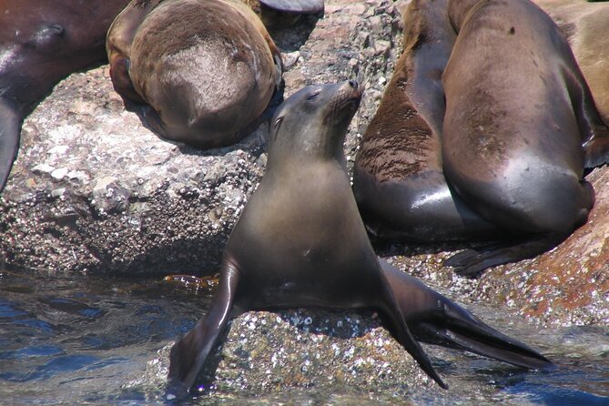 Monterey Whale Watching Tour - Directions