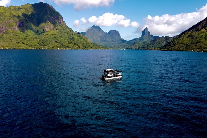 Moorea Lagoon Excursion With Lunch - Activity Highlights