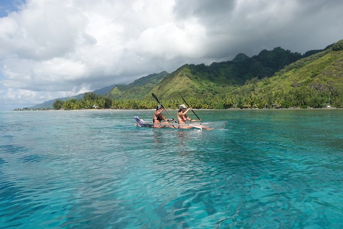 Moorea Lagoon Tour by Transparent Kayak - Swimming Experience