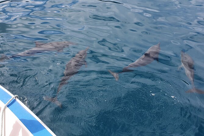 Moorea Lagoon Tour With Lunch - Customer Reviews