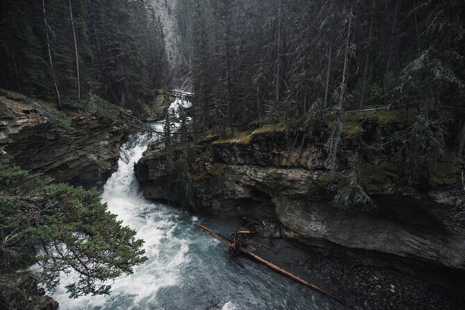 Moraine Lake & Lake Louise Sunset Wildlife Adventure - Traveler Testimonials