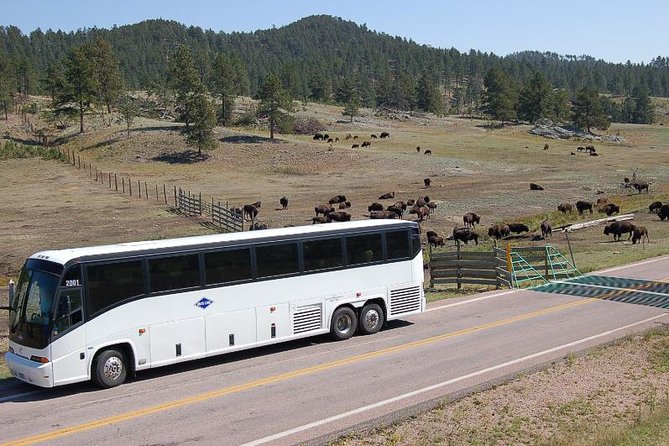 Mount Rushmore and Black Hills Bus Tour With Live Commentary - Directions and Recommendations