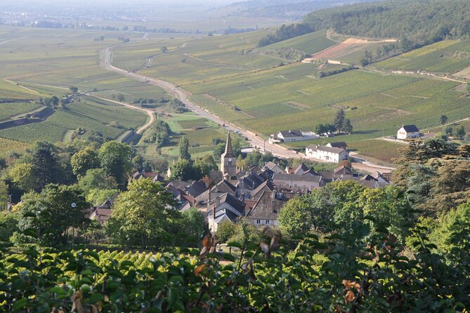 Multi Day Private Tour of Côte De Nuits and Côte De Beaune - Customer Reviews