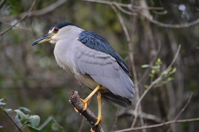 Naples Small-Group Half-Day Everglades Kayak Tour - Cancellation Policy and Accessibility