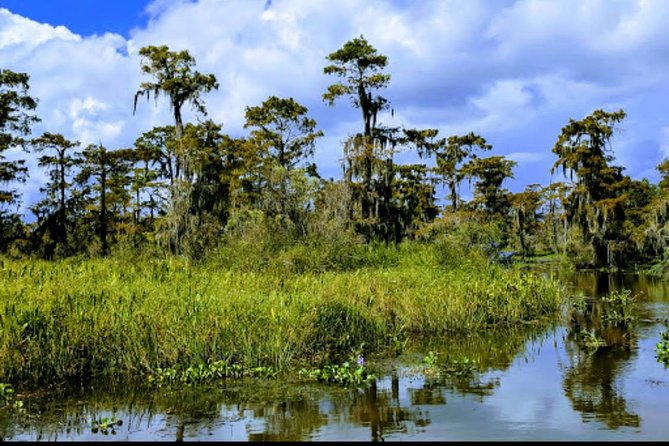 New Orleans Swamp Tour Boat Adventure With Transportation - Common questions