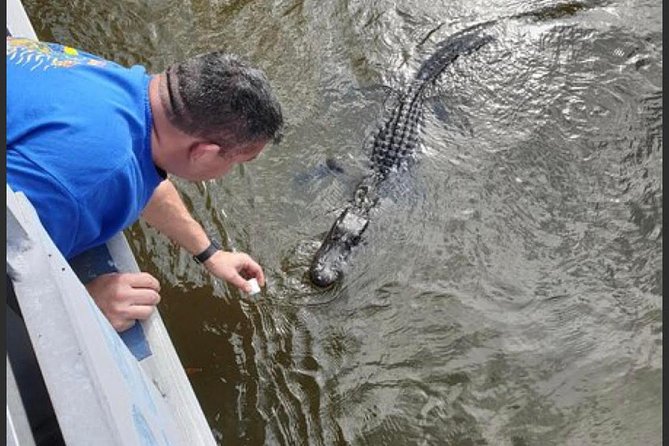 New Orleans Swamp Tour Boat Adventure - Common questions
