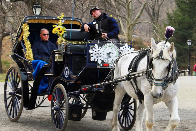 New York City: Central Park Private Horse-and-Carriage Ride - Directions