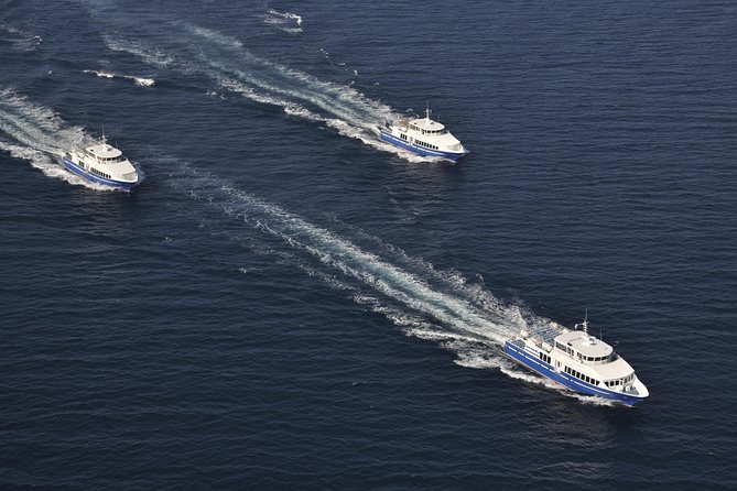 Nice to St Tropez Ferry Ticket and Cruise - Boarding Process