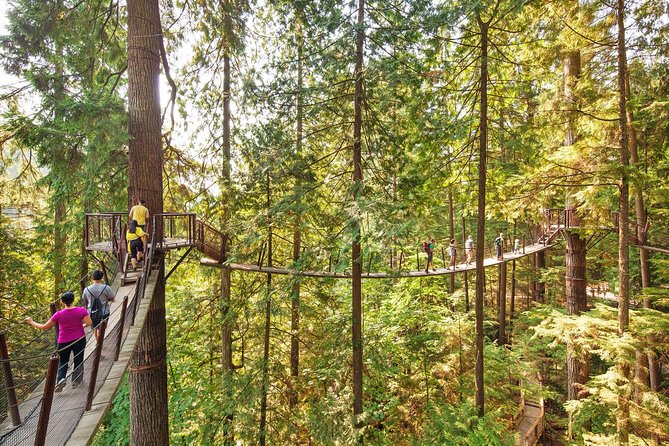 North Shore Day Trip From Vancouver: Capilano Suspension Bridge & Grouse Mtn - Meeting Point