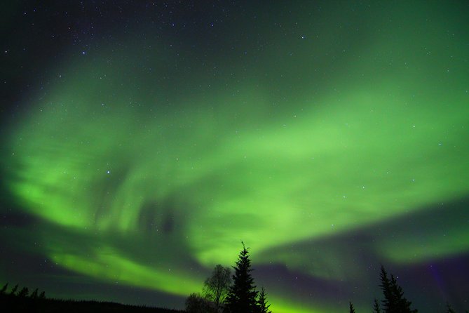 Northern Lights and Arctic Circle Trip From Fairbanks - Memorable Sightings