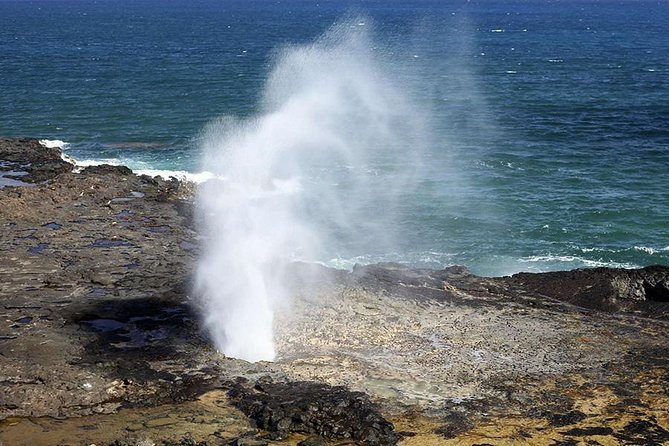 Oahu Circle Island - North Shore Snorkeling Tour (Dole & Temple) - Recommended Items and Attire