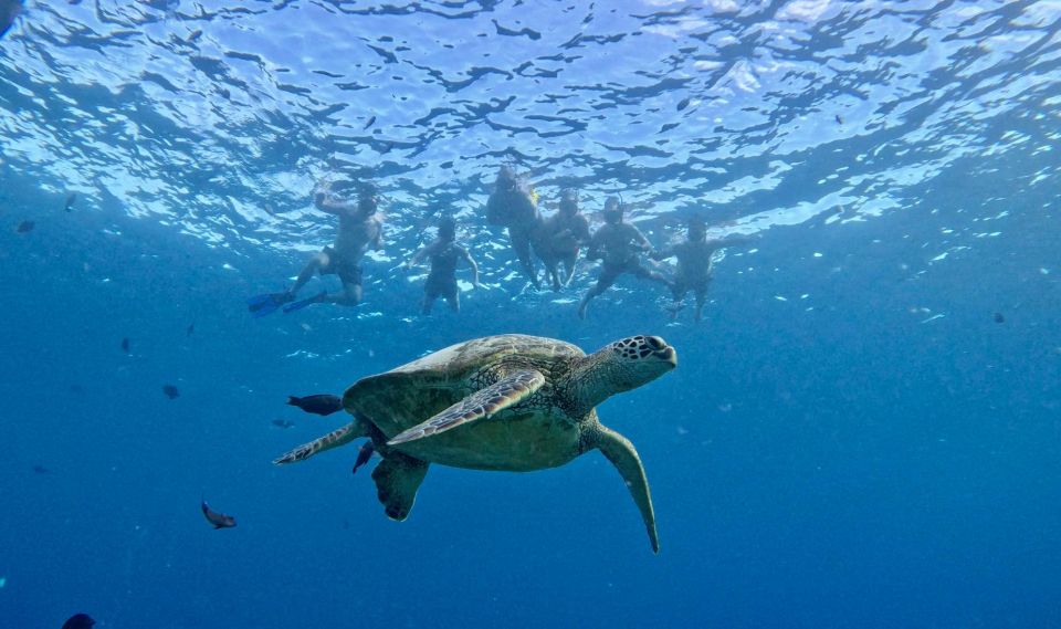 Oahu: Honolulu Private Catamaran Cruise With Snorkeling - Departure Point and Route