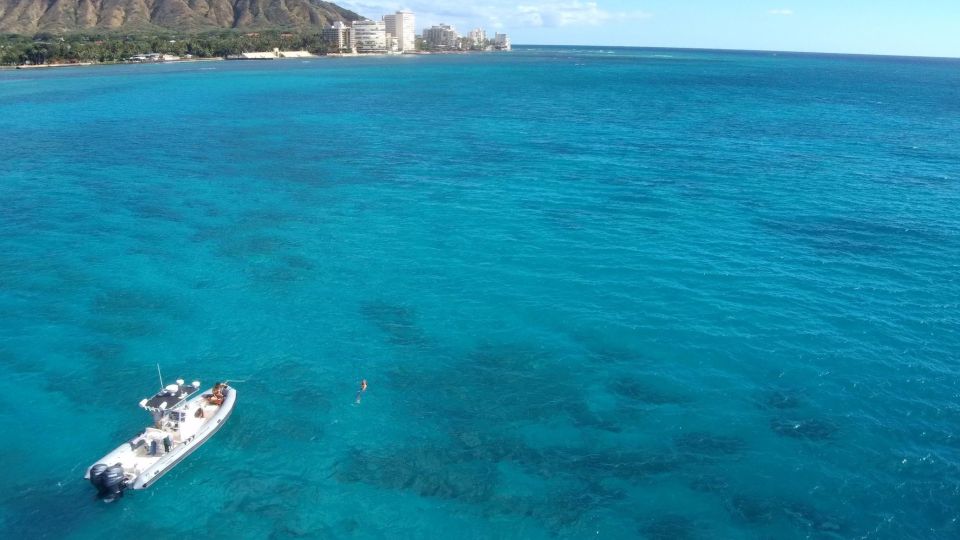 Oahu: Waikiki Private Snorkeling and Wildlife Boat Tour - Final Words