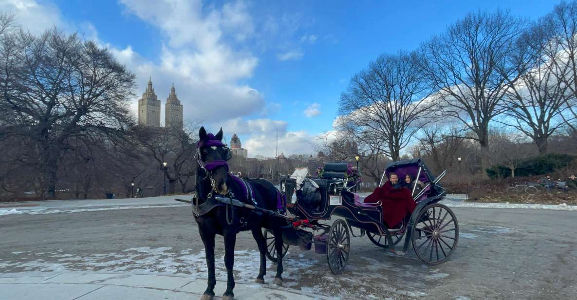 Official VIP Whole Central Park Horse Carriage Tour - Cancellation Policy