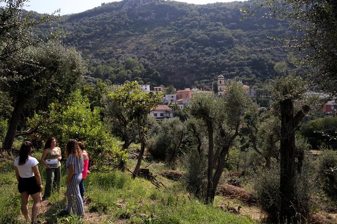 Olive Oil Tasting in Sorrento - Common questions