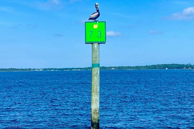 Orange Beach Dolphin Eco Boat Tour - Directions