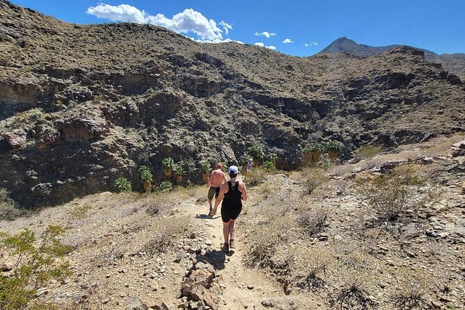 Palm Springs Hike to an Oasis and Amazing Desert Views - Common questions