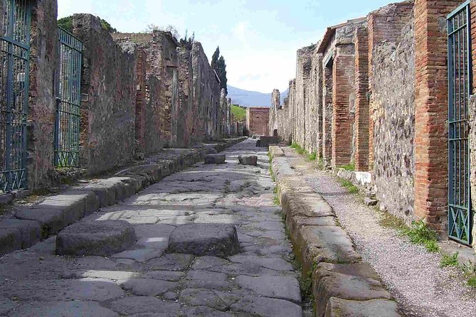 Pompeii Guided Walking Tour With Included Entrance at Pompeii Ruins - Final Words