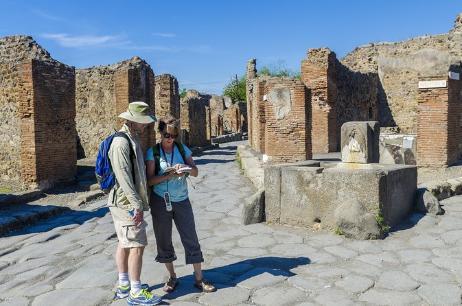 Pompeii Small Group Tour With an Archaeologist - Expert Guide