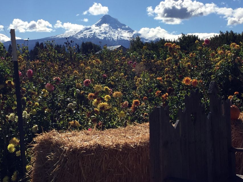 Portland: Mount Hood Wine and Waterfalls Full-Day Tour - Oregon Experiences