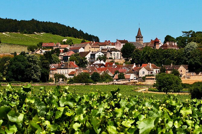 Private Burgundy 3 Domaines Chateau Pommard Chablis 15 Wines Trip - Transportation