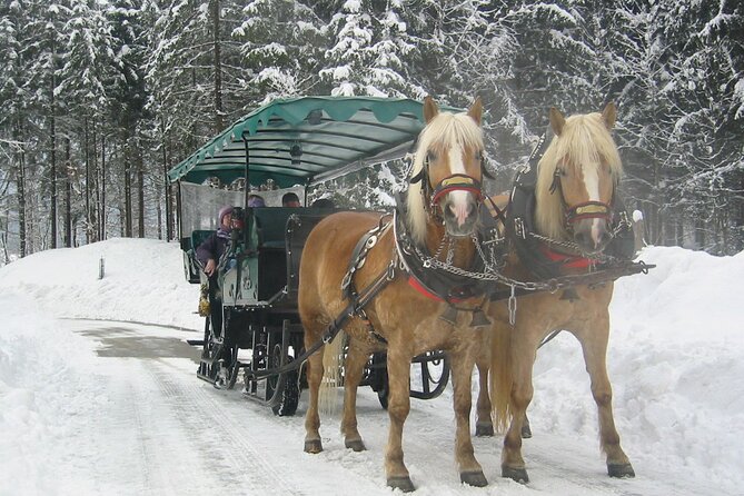 Private Horse-Drawn Sleigh Ride From Salzburg - Plan Your Winter Adventure