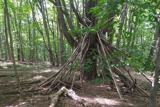 Private Singhampton Caves Hike, Collingwood/Blue Mtn/Creemore - Scenic Highlights on the Hiking Trail