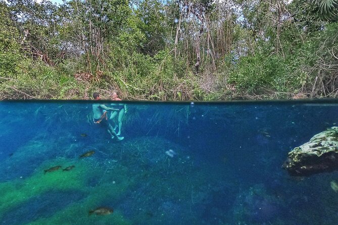 Private Tour The Best Cenotes in Tulum Riviera Maya - Common questions