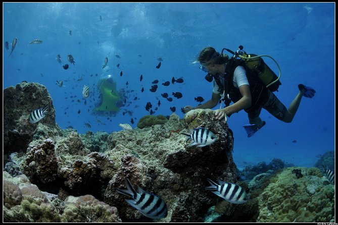 Private Tour: Underwater Scooter Bora Bora - Common questions