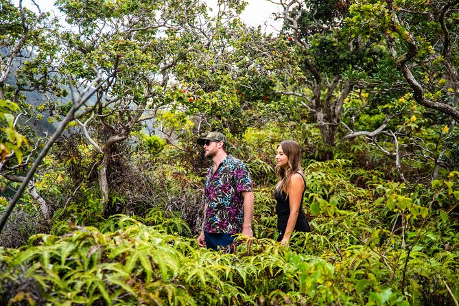 Private VIP Road to Hana Tour With Pick up - Common questions