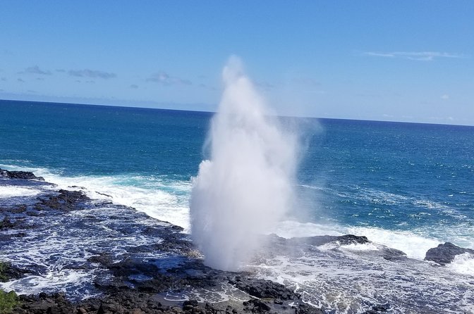 Private Waimea Canyon Tour - Booking Information