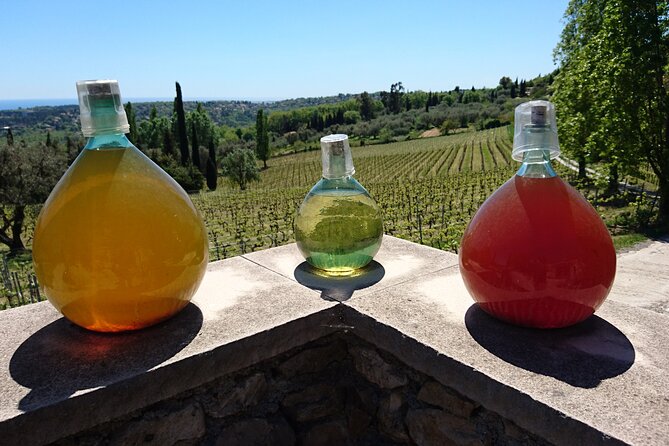 Private Wine Tour of the Vineyards on the French Riviera - Pricing Structure and Inclusions