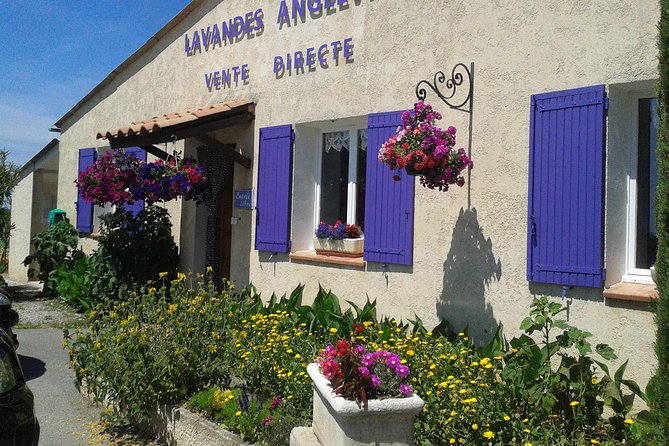 Provence Lavender Fields Tour in Valensole From Marseille - Common questions