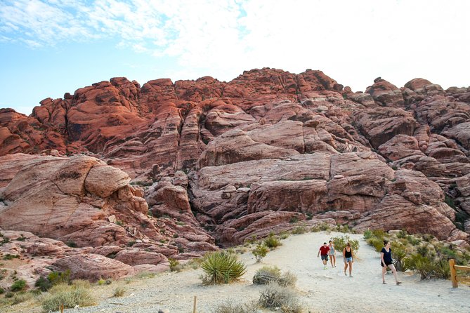 Red Rock Canyon Hiking Tour With Transport From Las Vegas - Customer Feedback