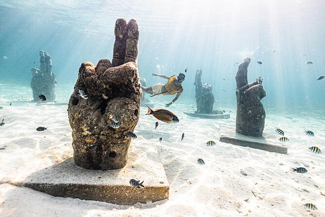 Reef and Shipwreck Snorkeling Tour in Cancun - Common questions