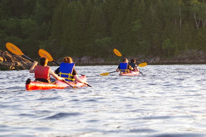 River Relics Kayaking Adventure - Additional Information and Highlights