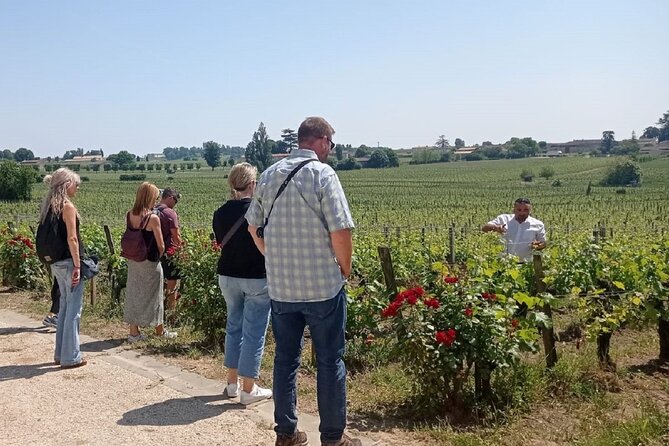 Saint-Emilion Morning Wine Tour, Winery & Tastings From Bordeaux - Customer Recommendations