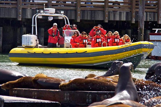 San Francisco Bay Adventure Boat Sightseeing - Captain Charles and Tour Features